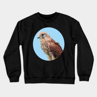 Bird of Prey photograph Crewneck Sweatshirt